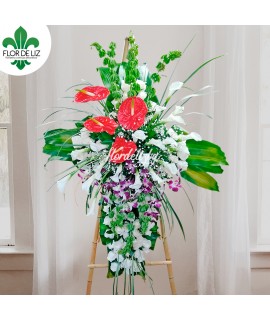 CRUZ CAMINO AL INFINITO CRUZ CAMINO AL INFINITO